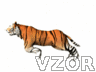 Běžící tygr, Zvířátka - Animace na mobil - Ikonka