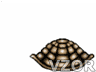 želva, Zvířátka - Animace na mobil - Ikonka