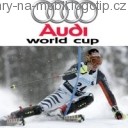 Audi World Cup, Hry na mobil