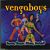 Boom Boom, Vengaboys, Monofonní melodie