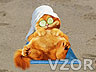Garfield na pláži, Garfield2 - Film a TV na mobil - Ikonka