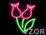 Neonový tulipán, Láska - Tapety na mobil - Ikonka