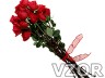 Růže, Tapety na mobil