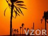 Palmy při západu slunce, Příroda a města - Tapety na mobil - Ikonka
