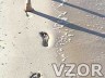 Stopy na pláži, Tapety na mobil