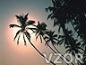 Západ slunce nad pláží, Tapety na mobil