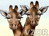 Žirafi, Zvířátka - Roztomilé na mobil - Ikonka