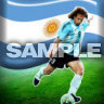 Argentina Gabriel Batistuta, Fotbalové - Sport na mobil - Ikonka