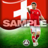 Switzerland David Frei, Fotbalové - Sport na mobil - Ikonka