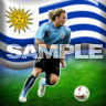 Uruguay Diego Forlan, Tapety na mobil