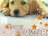 Animal New Year, Šťastný nový rok, Happy New Year - Tapety na mobil - Ikonka