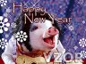 Animal New Year, Šťastný nový rok, Happy New Year - Tapety na mobil - Ikonka