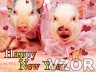 Animal New Year, Tapety na mobil