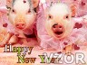 Animal New Year, Šťastný nový rok, Happy New Year - Tapety na mobil - Ikonka