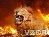 Lev v plamenech, Tapety na mobil