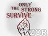 Only The Strong Survive, Styl - Tapety na mobil - Ikonka