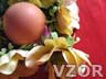 vejce s dekorací, Tapety na mobil