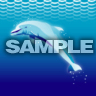 Delfín, Tapety na mobil
