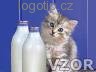 Kočka a láhve mléka, Kočičky - Zvířátka na mobil - Ikonka