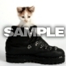 Kotě v botě, Kočičky - Zvířátka na mobil - Ikonka