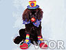 Pes oblečený jako klaun, Tapety na mobil