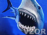Žralok, Zvířátka - Tapety na mobil - Ikonka